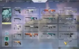 LVL 322 todos os champs 413 skins/Valorant todos os agente