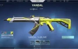 Conta valorant 40k+ vp gastos Card e Titulo Beta