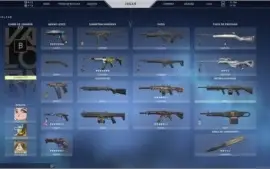 Conta valorant 40k+ vp gastos Card e Titulo Beta