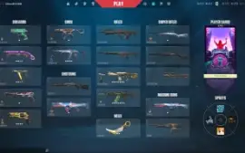 Conta Valorant Ascendente 1 (Com Skins) ATUALIZADO!