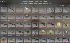 Conta STEAM Counter-Strike (CS/CSGO) com R$ 50.000 em skins