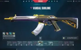 Conta Valorant Faca Rgx + League Of Legends (355 Skins)