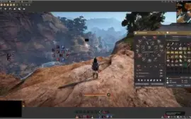 Conta Black Desert, 300/287/338, set full pen, negociando