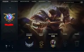 106 SKINS (SKINS RARAS - RIVEN CAMPEONATO 2016) PRATA 4