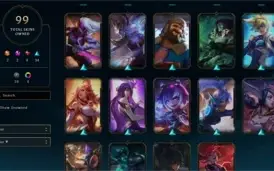 106 SKINS (SKINS RARAS - RIVEN CAMPEONATO 2016) PRATA 4