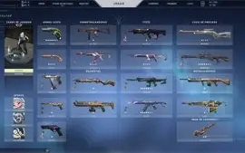 CONTA VALORANT DIVERSAS SKINS