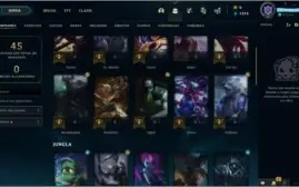 Conta Platino 1 60% Wr LAS