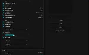 plaguecheat.cc cs2 lifetime