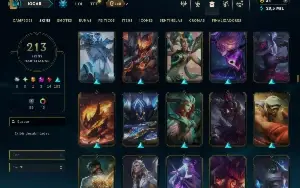 Unranked com TODOS os champs e 213 Skins ( SUP / MID )