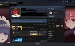 Conta Steam Nível 172 - 8 Medalhas, 680 vitórias