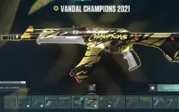 conta rara de valorant com os 3 kit completos da champions 