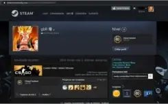 Steam com CSGO - Prime AK Cruzada com GamersClub  Lv 17/18