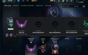 Mestre com 110 Champs e 24 Skins ( 156 PDL )