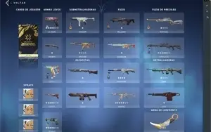 Conta Valorant Dima com 900 reais em skins