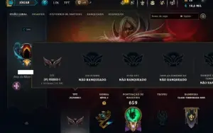 Unranked com TODOS os Champs e 214 Skins ( ADC / SUP / JG )