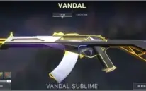 Conta com 171skins (gastos de mais 1500R$)com vandal sublime