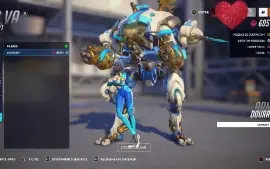 Conta de overwatch PC(Funciona em todas as plataformas)