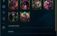 Conta mestre (Challenger season 8 )