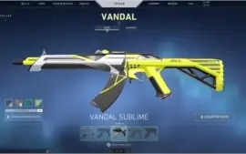 Conta Valorant Platina 3 com mais de R$ 1000 em skins