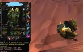 Druid e Paladin full wowbr
