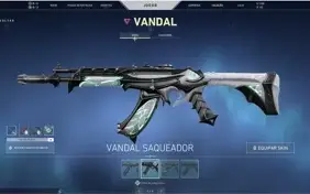 Conta Valorant butterfly + saqueadora + dima 2