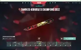 Conta valorant beta fechado, 4K gasto, !DONO UNICO!