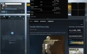 AIMBOT + TRIGGERBOT + SKIN CHANGER