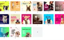 Pack Canva Veterinária Vol 4 - 39 Artes Editáveis