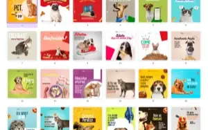 Pack Canva Veterinária Vol 4 - 39 Artes Editáveis