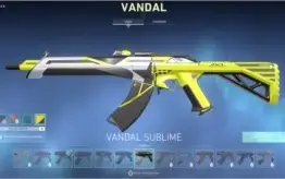 Vendo Conta Valorant (skins faca,vandal,phantom e outras)