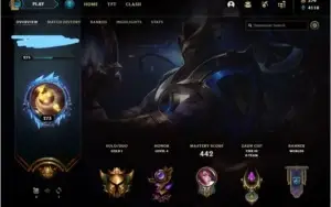 Conta League of Legends 376 Skins