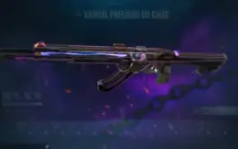 Conta Valorant,Karambit,Preludio,Sublime..