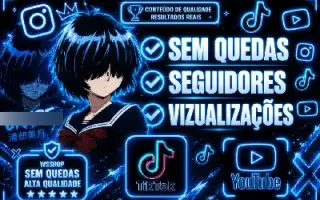 SEGUIDORES INSTAGRAM / SEGUIDORES BRASILEIROS