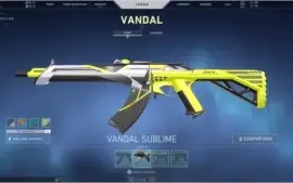 Conta Valorant  Com Várias Skins de Passe e Loja