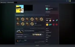 CONTA CSGO INSÍGNIA 10 ANOS! EXCLUSIVA COM PRIME!