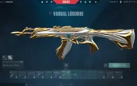 Conta FA Unranked, skins: 31
