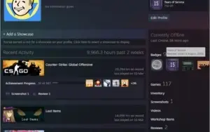 CONTA CS:GO PRIME 15 ANOS COM 20K+ DE HORAS +100 JOGOS