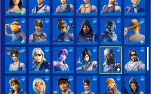 FORTNITE CONTA COM WONDER E WILDCAT
