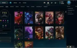 733 Skins, 9 anos de conta LVL 42 dono original