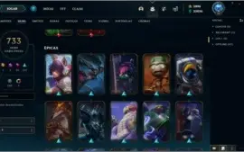 733 Skins, 9 anos de conta LVL 42 dono original