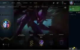 Conta LVL 30