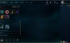 Conta LVL 30