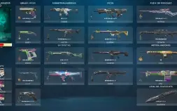 Metodo Nfa Valorant + Brinds