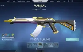 CONTA VALORAN T PLATINA 3 + SKINS