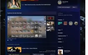 Conta Csgo Ex supremo, rank expirado Steam lvl 10