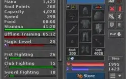 EK 229, RP 187 - skills boas - Squire of Tibia