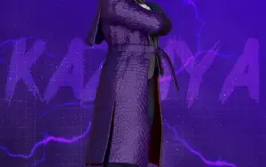 Kazuya Mishima Tekken 8 3D STL