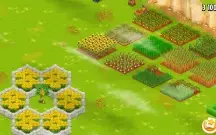 Conta Hay Day lvl 80