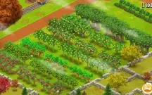 Conta Hay Day lvl 80