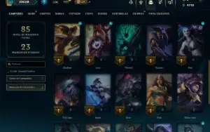 Unranked com 30 Champs e 10 Skins